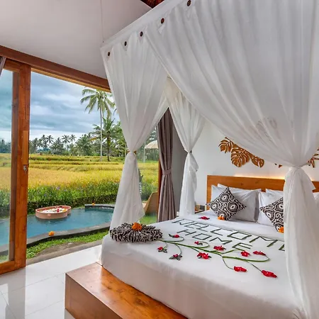 The Alus Villa And Suite